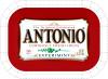 Antonio Red Knock-Off